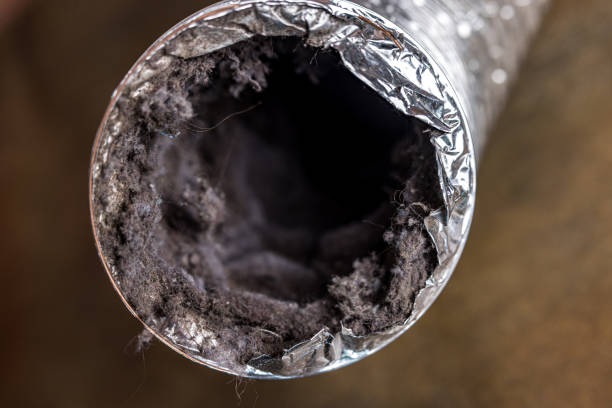 Best Air Vent Cleaning Services  in Kirtland, OH